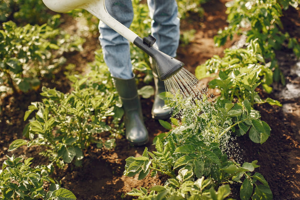 Agriculture